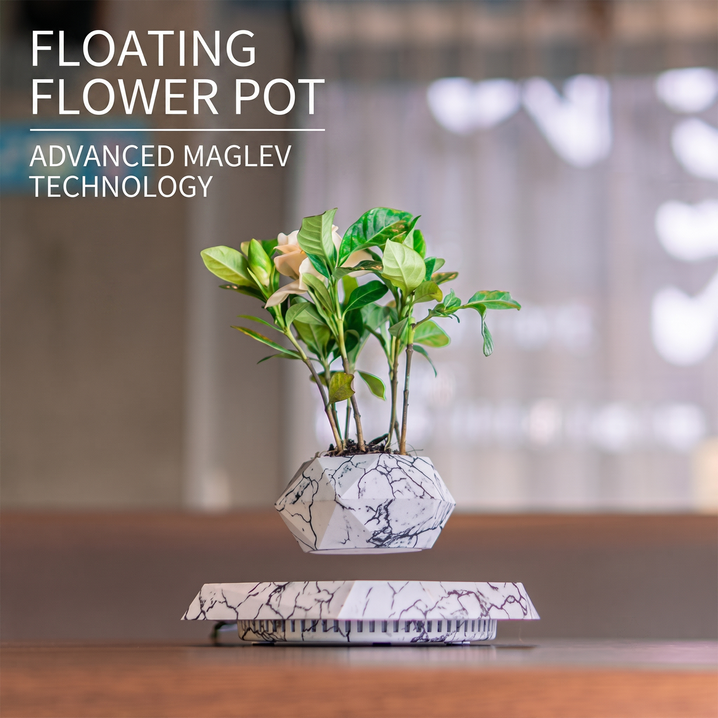 Celestial Serenade™ Magnetic Levitating Floating Planter Pot