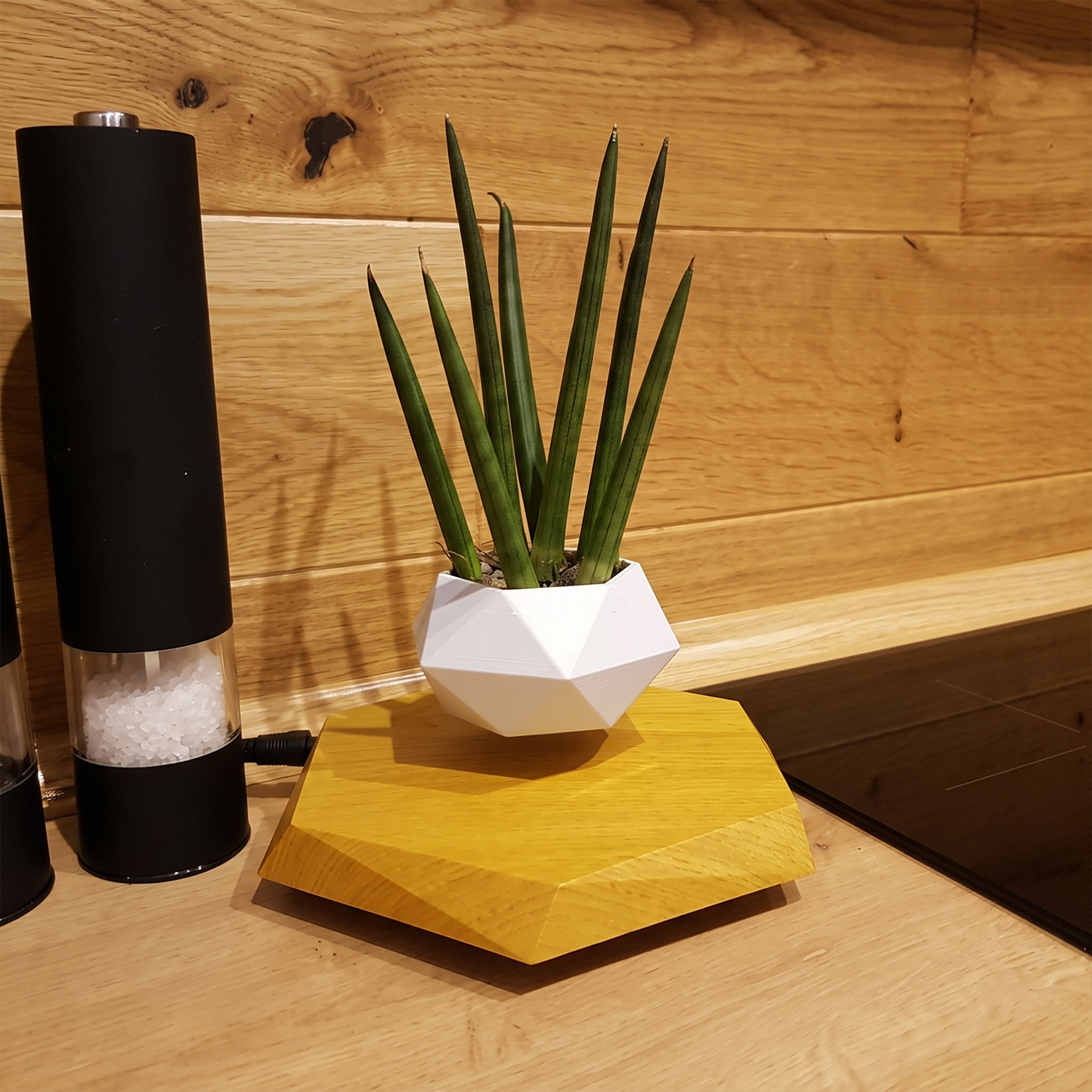 Celestial Serenade™ Magnetic Levitating Floating Planter Pot
