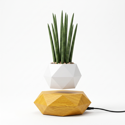 Celestial Serenade™ Magnetic Levitating Floating Planter Pot